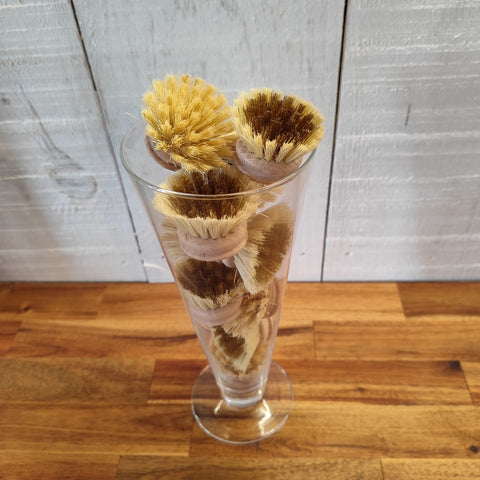 Brosse Vaisselle