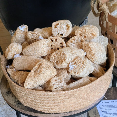Luffa