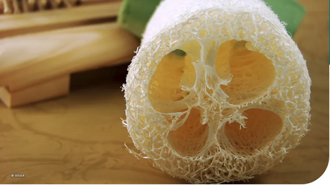 Luffa